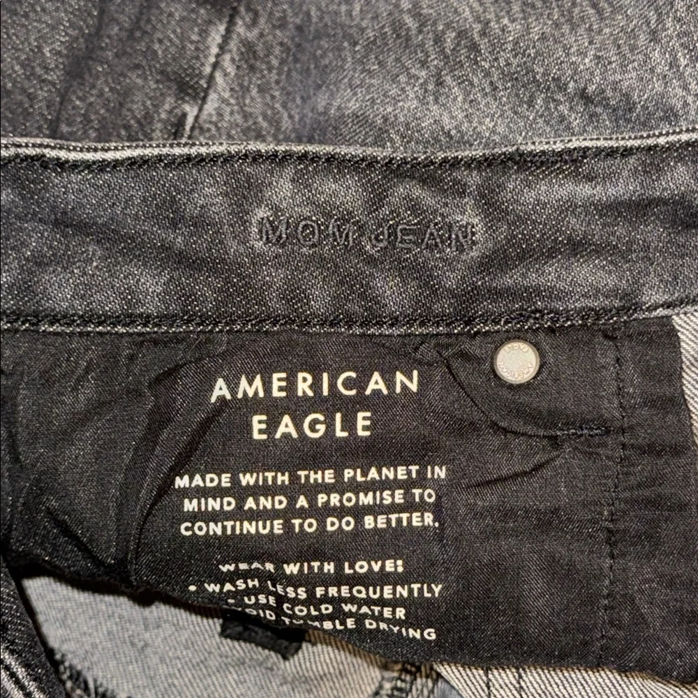 American Eagle Strigid Mom Jeans - Picture 5 of 6